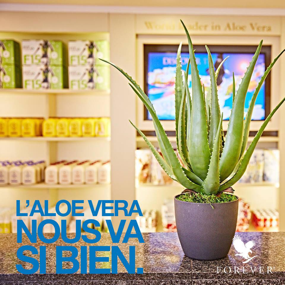 Aloe Vera Forever